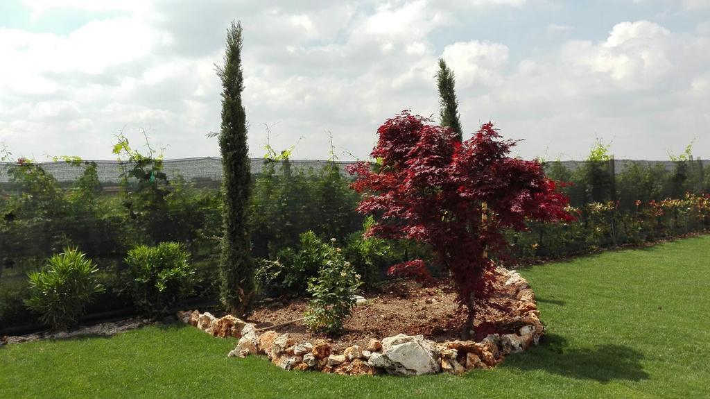 Agriturismo Pigno Villafranca di Verona Buitenkant foto